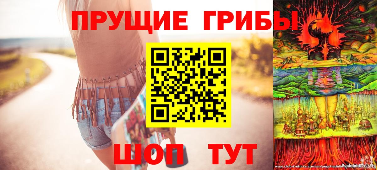 Псилоцибиновые грибы Psilocybe  Вход с VPN  Феодосия  Галлюциногенные грибы ЛСД 