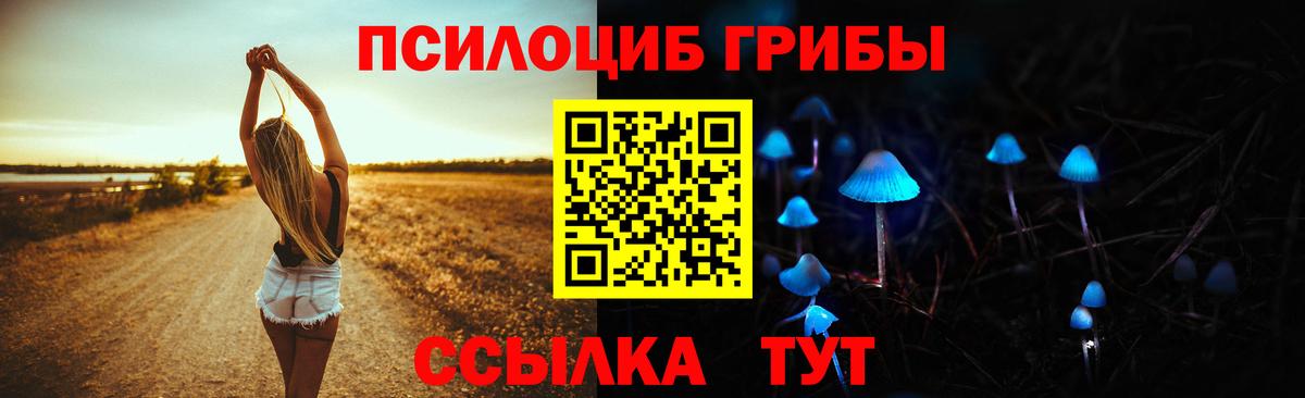 Галлюциногенные грибы Cubensis Феодосия